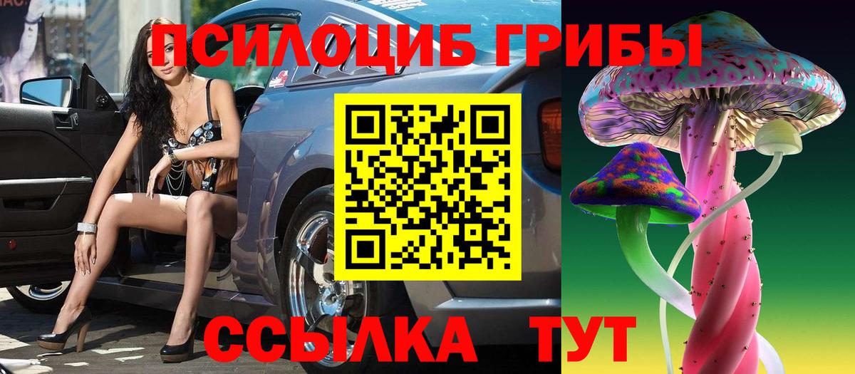 Галлюциногенные грибы мухоморы Элиста