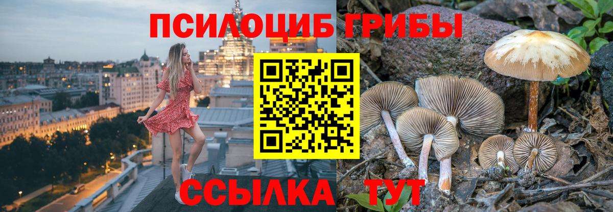 Псилоцибиновые грибы MAGIC MUSHROOMS  Вход с VPN  Элиста 